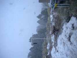 DSCN9527.JPG